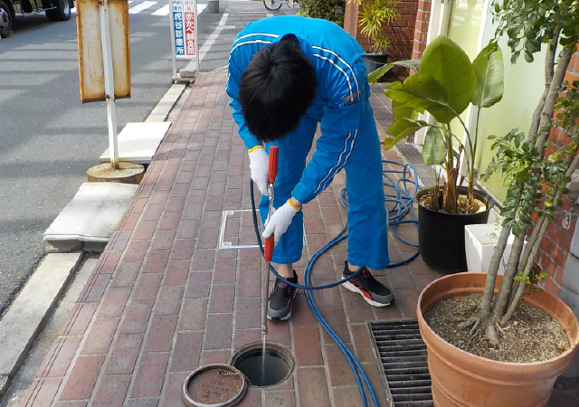 効果的な害⾍・ねずみ駆除で、⽣活と仕事の質を向上