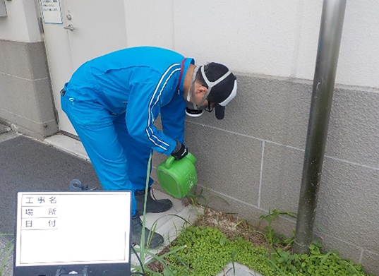 大阪府　工場でのムカデ駆除の仕事を頂きました。